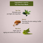 Ancient Living Tea Tree Face Wash | Grocsy