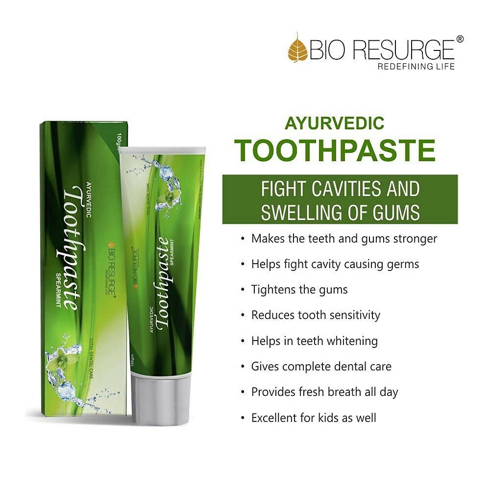 Bio Resurge Life Herbal Ayurvedic Spearmint Toothpaste | Grocsy