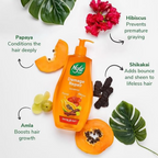 Nyle Naturals Damage Repair Anti Hairfall Shampoo | Grocsy