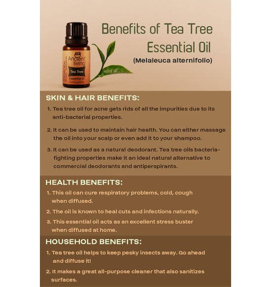 Ancient Living Tea Tree Essential Oil | Grocsy