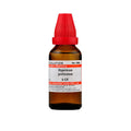 Dr. Willmar Schwabe India Hypericum Perforatum Dilution | Grocsy