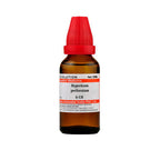 Dr. Willmar Schwabe India Hypericum Perforatum Dilution | Grocsy