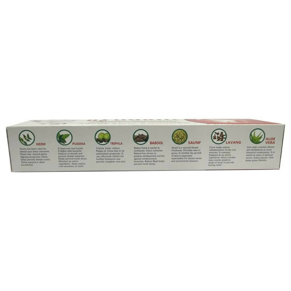 Baidyanath Jhansi Ayurvedant Ayudant Toothpaste | Grocsy