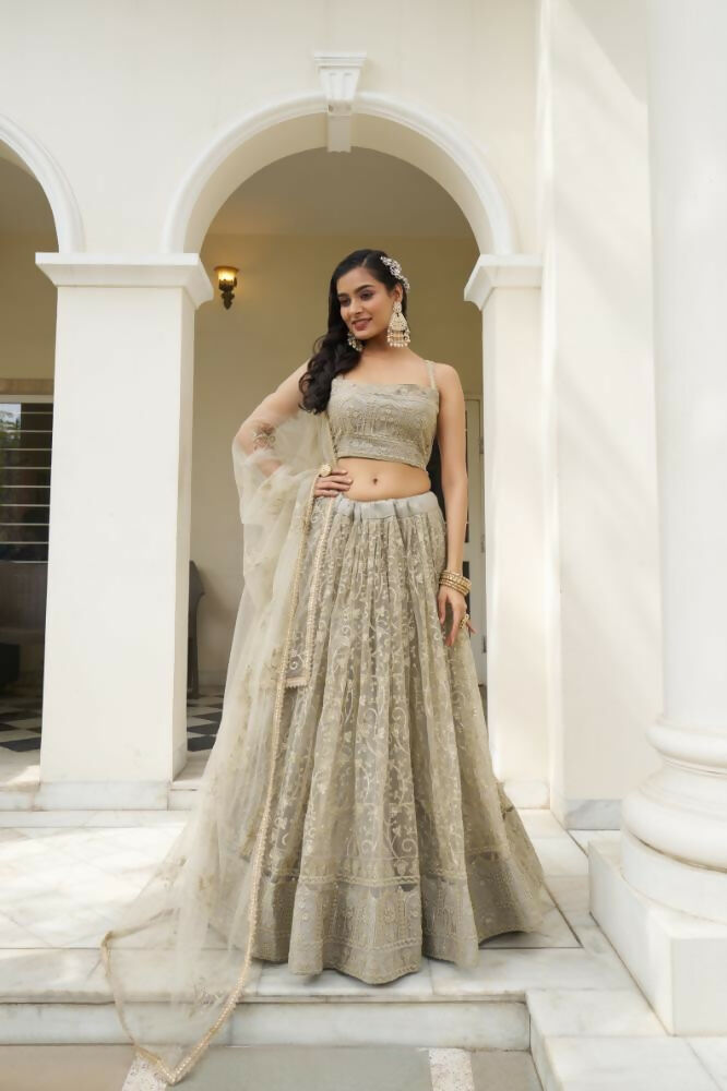 Aastha Fashion Ivory Butterfly Net Tone To Tone Cotton Thread Work And Sequence Work Embroidery Wedding Wear Lehenga Choli | Grocsy