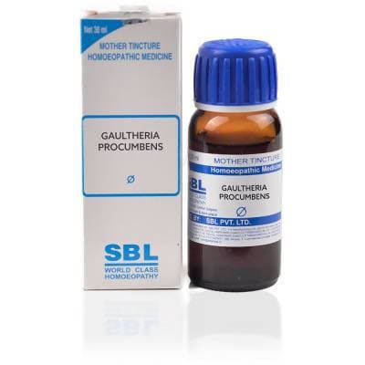 SBL Homeopathy Gaultheria Procumbens Mother Tincture Q | Grocsy