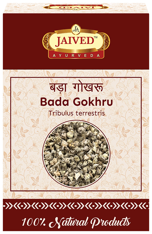 Jaived Ayurveda Bada Gokhru | Grocsy