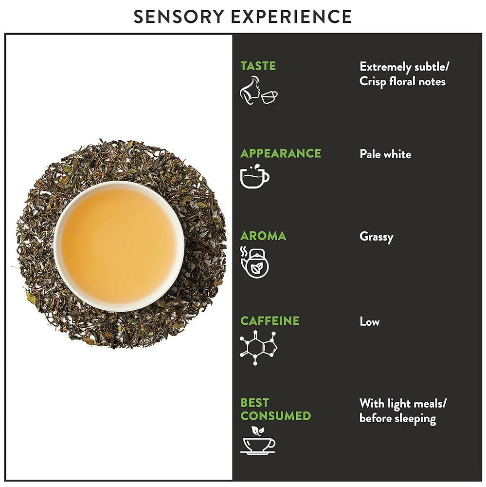 Teamonk Darjeeling Kimaya White Tea (Makes 50 Cups) | Grocsy