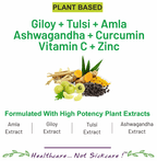 Bliss Welness Giloy + Tulsi + Amla + Ashwagandha + Curcumin Immunity Health Veg Tablet | Grocsy