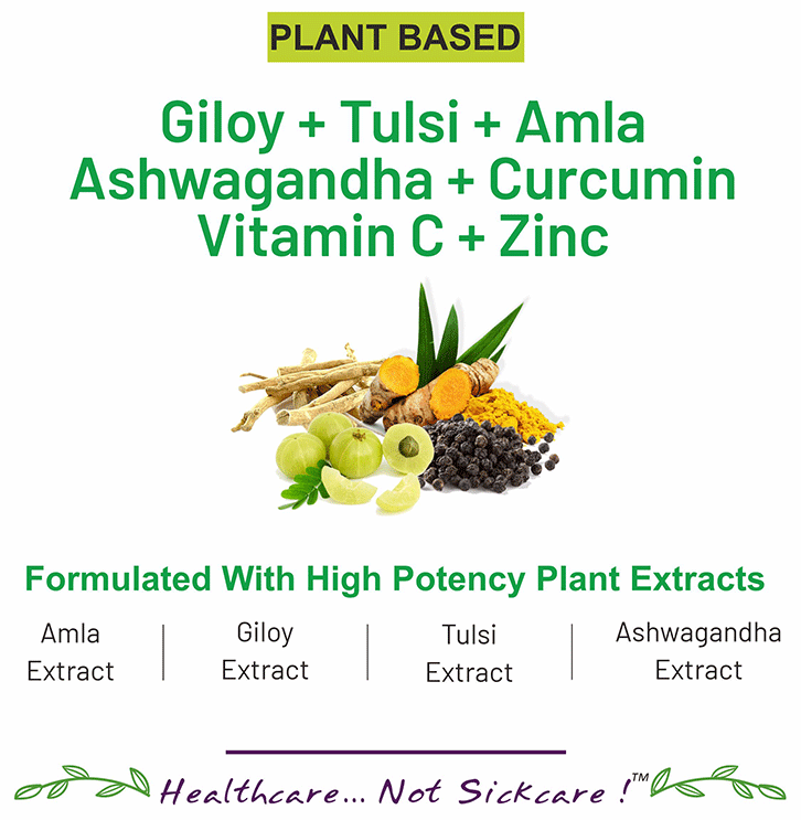 Bliss Welness Giloy + Tulsi + Amla + Ashwagandha + Curcumin Immunity Health Veg Tablet | Grocsy