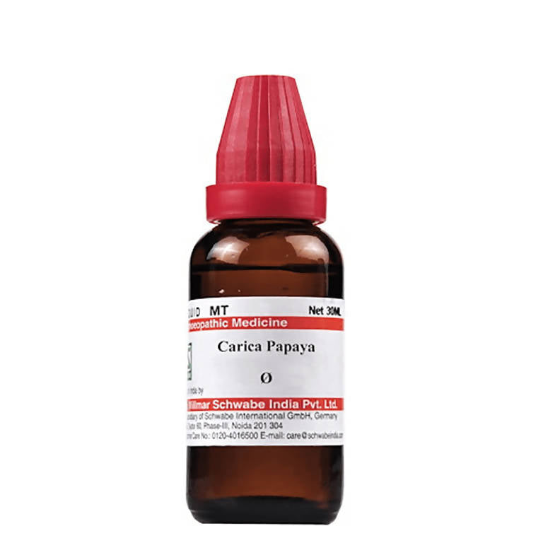 Dr. Willmar Schwabe India Carica Papaya Mother Tincture Q | Grocsy