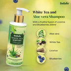 Indalo White Tea Aloe Vera Shampoo For Oily Hair | Grocsy