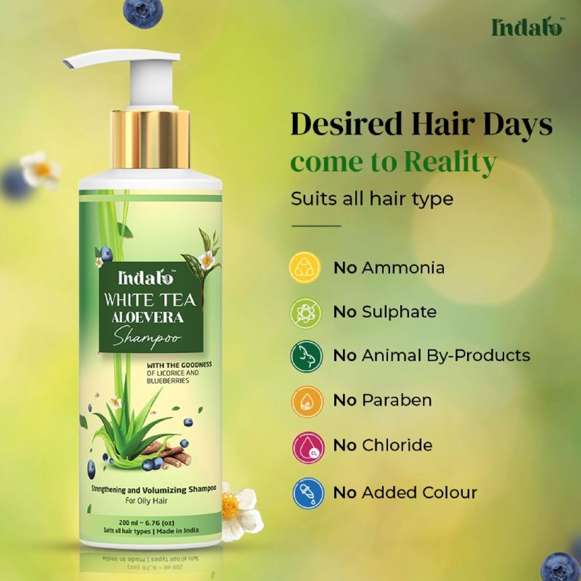 Indalo White Tea Aloe Vera Shampoo For Oily Hair | Grocsy