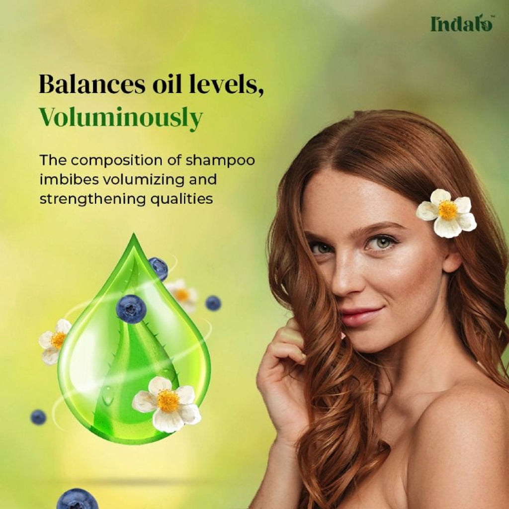 Indalo White Tea Aloe Vera Shampoo For Oily Hair | Grocsy