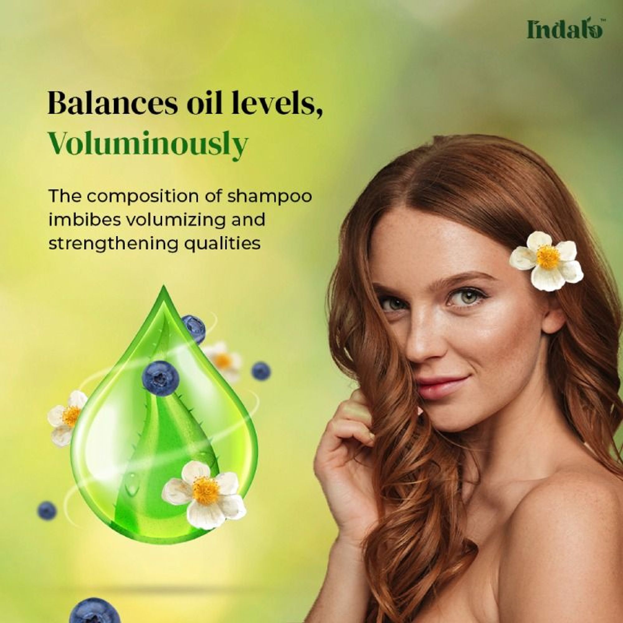 Indalo White Tea Aloe Vera Shampoo For Oily Hair | Grocsy