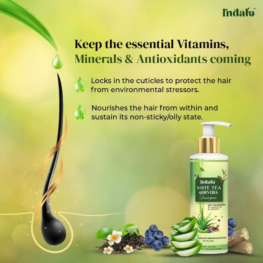 Indalo White Tea Aloe Vera Shampoo For Oily Hair | Grocsy