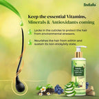 Indalo White Tea Aloe Vera Shampoo For Oily Hair | Grocsy