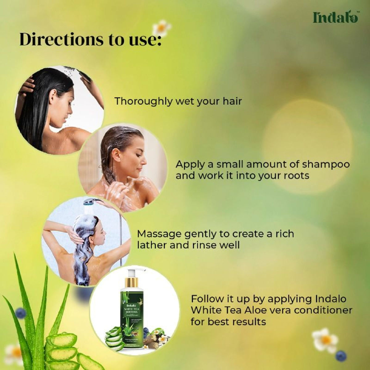 Indalo White Tea Aloe Vera Shampoo For Oily Hair | Grocsy