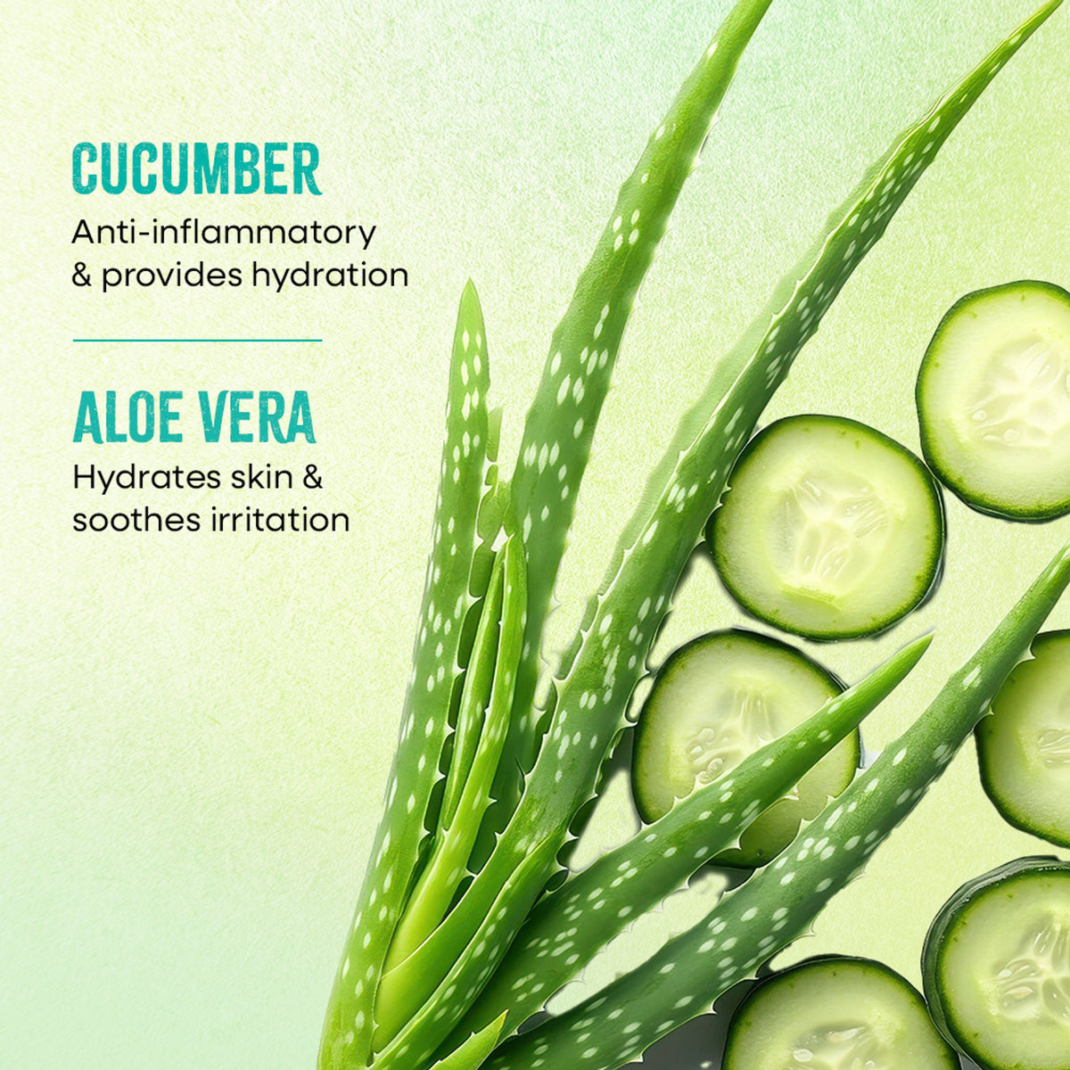 Nykaa Green Tea + Aloe Vera Sheet Mask For Hydrated Skin - Formulated in Korea - For All Skin Types - Cucumber & Aloe Vera | Grocsy