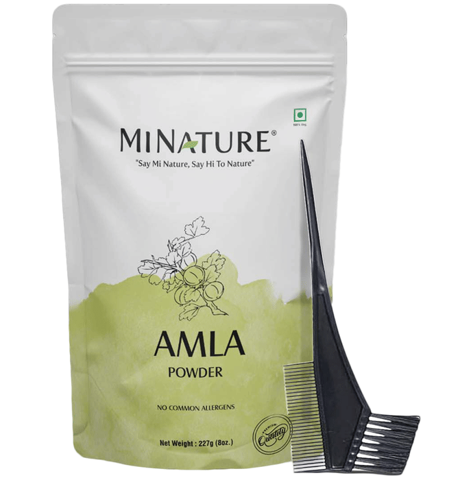 Minature Amla Organic Powder | Grocsy