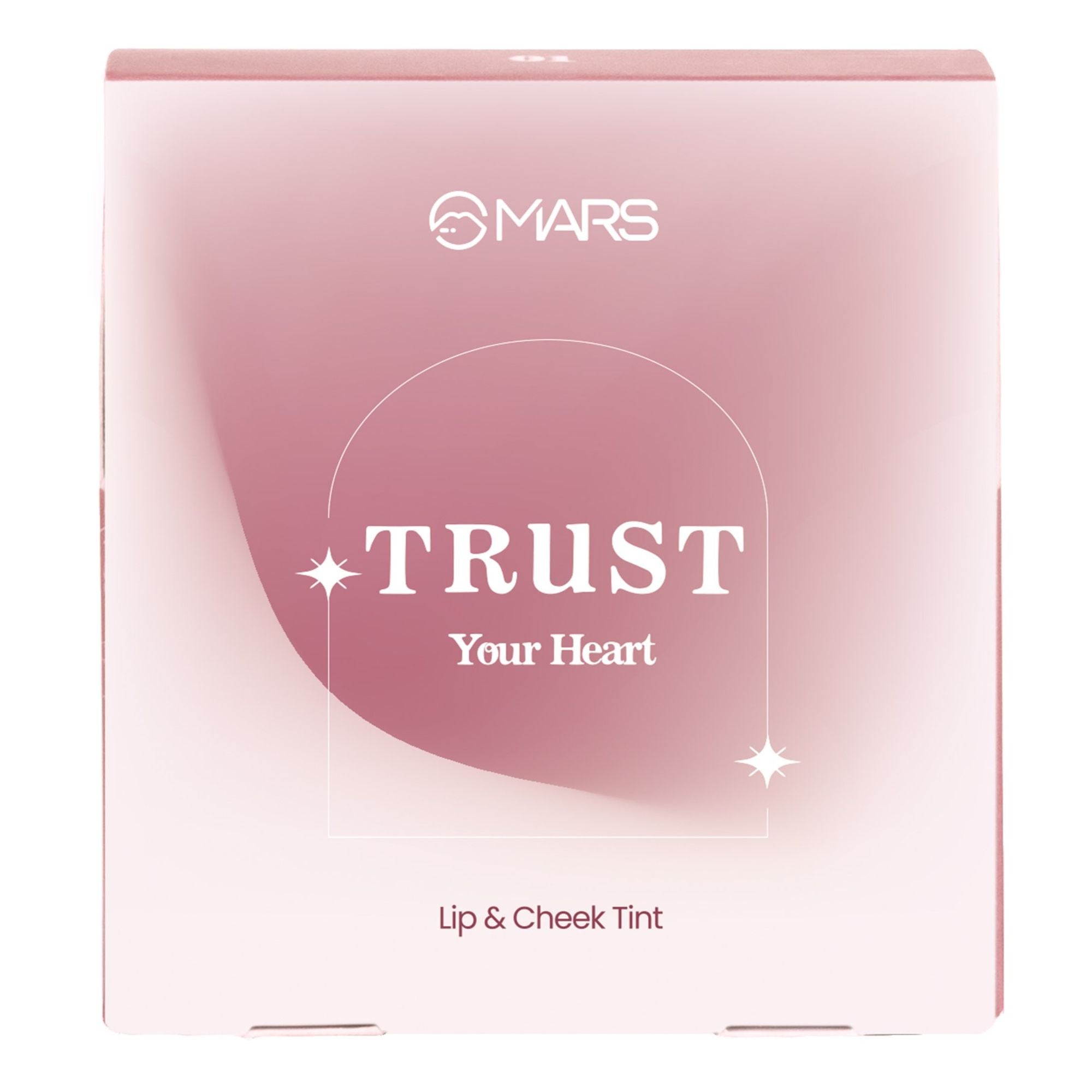 MARS Cosmetics Lip & Cheek Tint for Bold Pop Color - 01-Dusty Rose | Grocsy