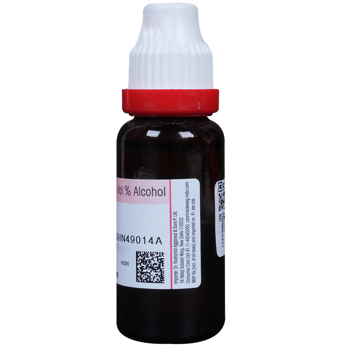 Dr. Reckeweg Allium Sativum Mother Tincture Q | Grocsy