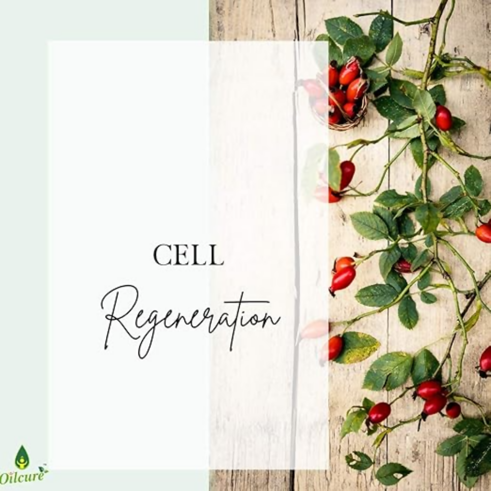 Oilcure Rosehip Oil | Grocsy