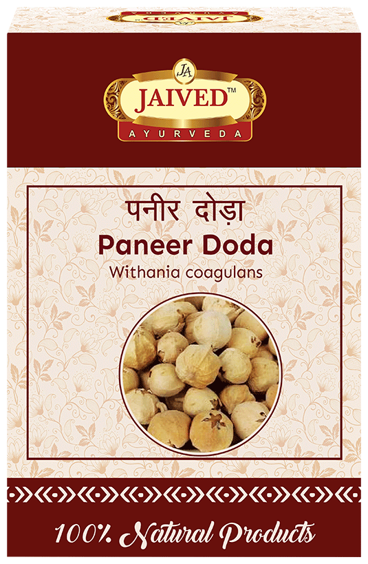 Jaived Ayurveda Paneer Doda | Grocsy