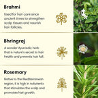 The Earth Collective Anti Hair Fall Hair Oil With Rosemary | Grocsy