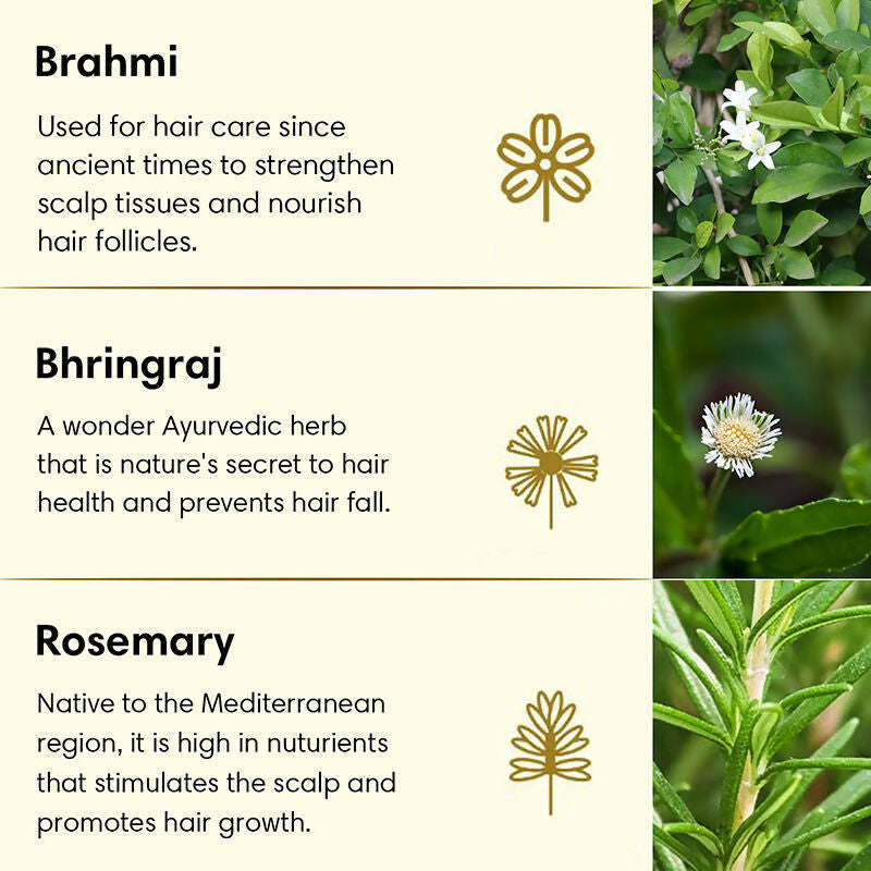 The Earth Collective Anti Hair Fall Hair Oil With Rosemary | Grocsy