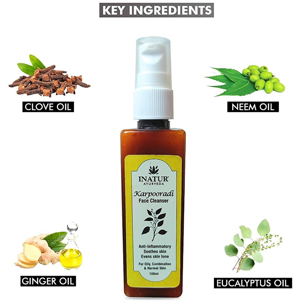 Inatur Karpooradi Face Cleanser | Grocsy