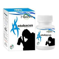 Hashmi Pharmacy Antobacus Tablets | Grocsy