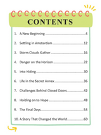 Dreamland Publications Anne Frank Icons of Inspiration Illustrated Biography For Kids | Grocsy