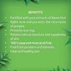 Dhathri Ayurveda Herbal Pimple Clear Neem Face Wash | Grocsy
