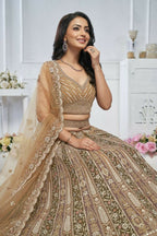 Kesar Fab Brown Net Embroidered Lehenga | Grocsy