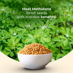 Urban Platter Fenugreek Seeds Whole | Grocsy