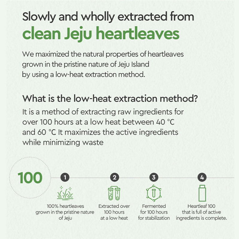 Dewytree Heartleaf 100 Korean Serum | Grocsy