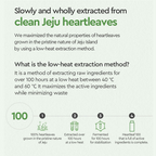 Dewytree Heartleaf 100 Korean Serum | Grocsy