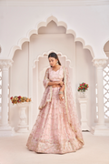 Eilara Women'S Baby Pink Butterfly Net Embroidered Thread Work Party Wear Lehenga Choli | Grocsy