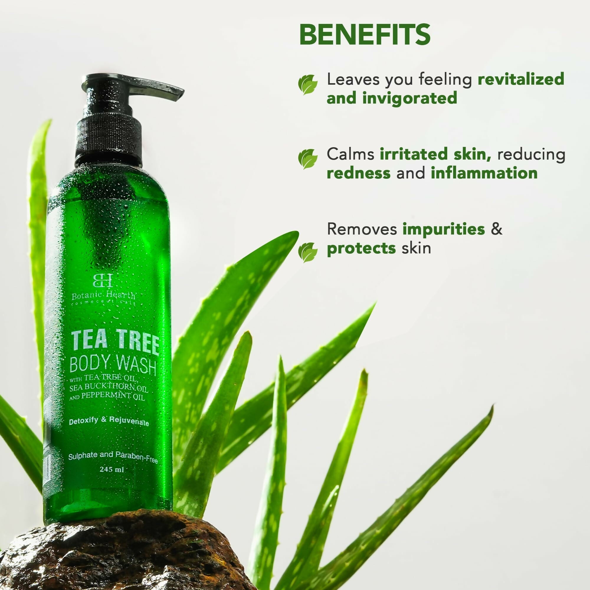 Botanic Hearth Tea Tree Body Wash with Sea Buckthorn Oil, Peppermint Oil | Grocsy