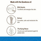 Soultree Hair & Body Wash - Aamla & Vetiver with Purifying Neem | Grocsy