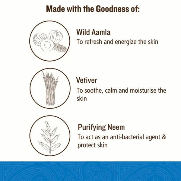 Soultree Hair & Body Wash - Aamla & Vetiver with Purifying Neem | Grocsy