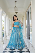 Eilara Glamorous Sky Blue Butterfly Net With Thread And Sequence Embroidered Work Lehenga Choli For Wedding | Grocsy