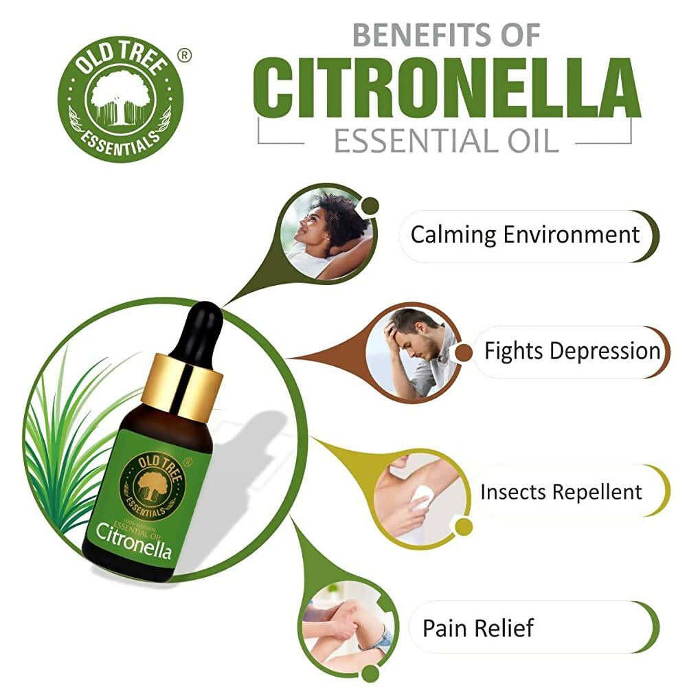 Old Tree Citronella Essential Oil | Grocsy