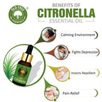 Old Tree Citronella Essential Oil | Grocsy
