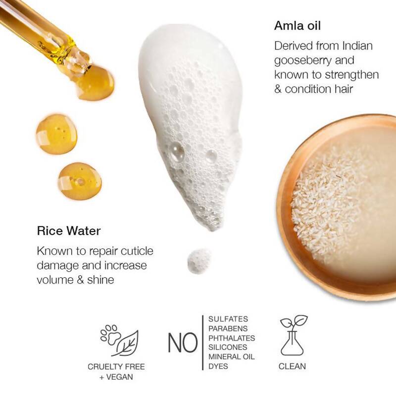 Anomaly by Priyanka Chopra Strengthening Shampoo With Rice Water & Amla Oil, Reduce Breakage | Grocsy