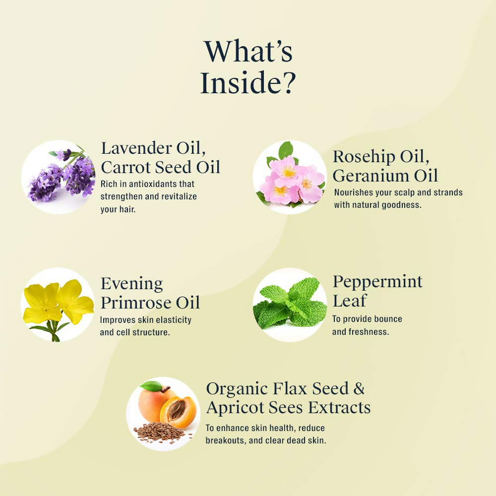 Arata Natural Anti-Aging Face Kit | Grocsy