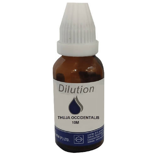 Hapro Thuja Occidentalis Dilution | Grocsy