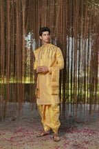Gold Machine Kanjivaram Embroidered Pattu Set by Hilo Design | Grocsy