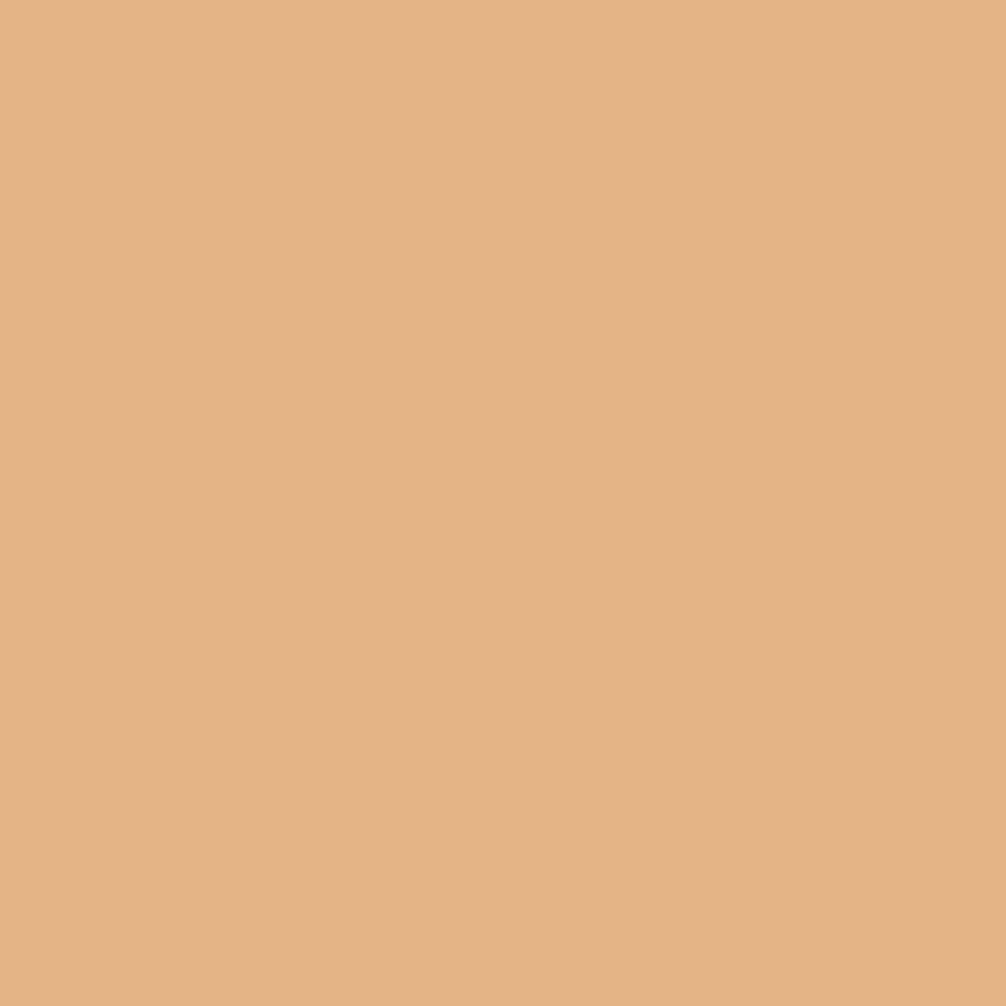 KINDED Liquid Concealer - Go Natural | Grocsy