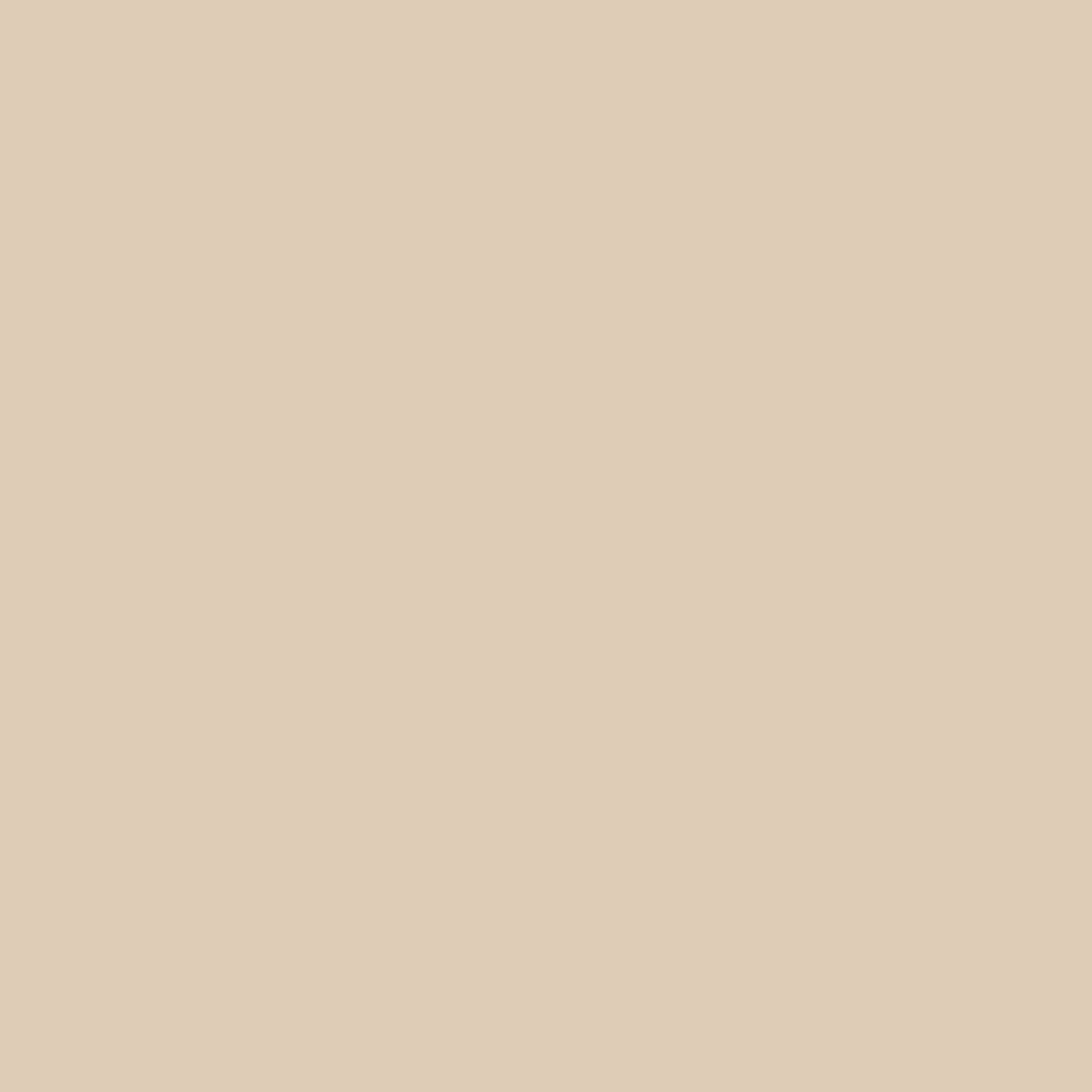 KINDED Setting Loose Powder - Natural Nude | Grocsy